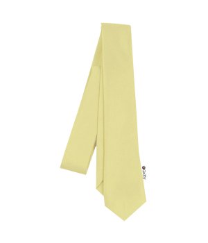 Μονόχρωμη Εφηβική Γραβάτα Ματ Χρυσό